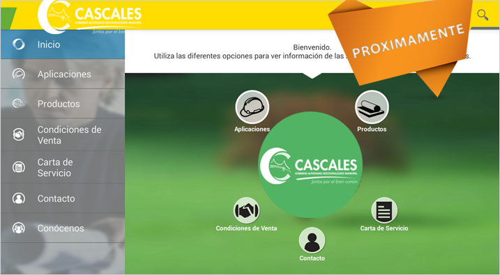 consultas corporativas22